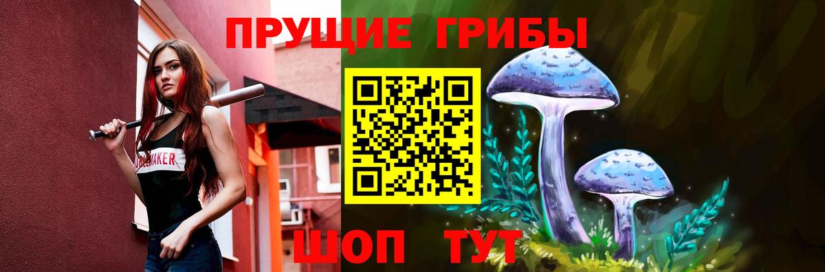 Галлюциногенные грибы MAGIC MUSHROOMS  Псилоцибиновые грибы мухоморы  Славгород  Вход с VPN 