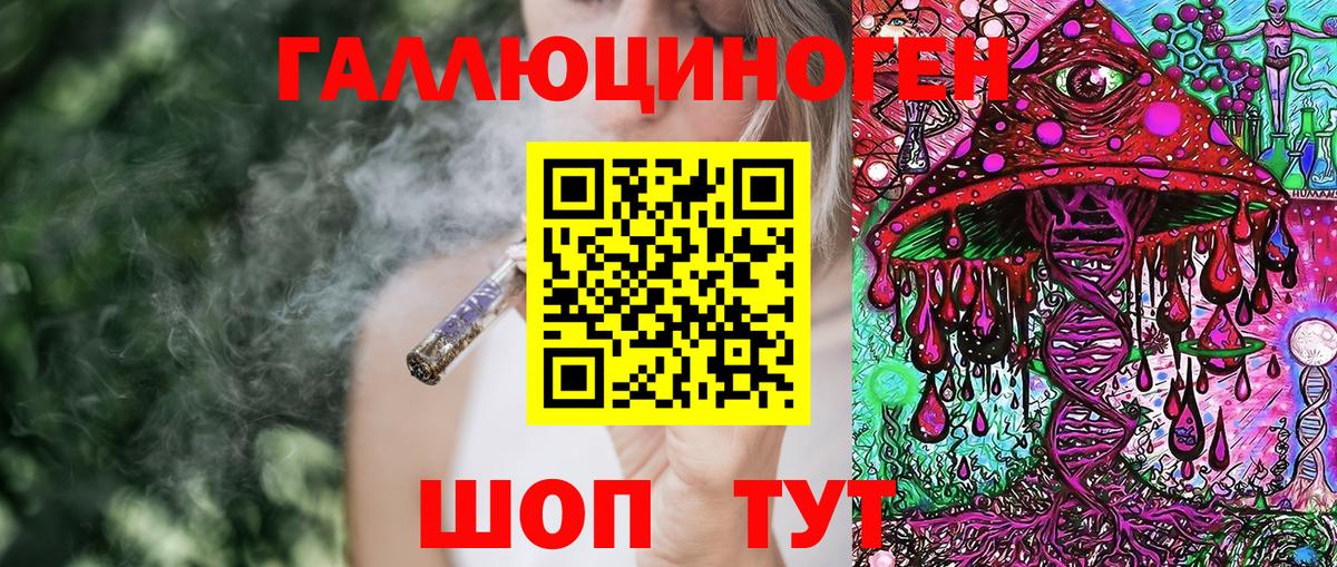 Галлюциногенные грибы Psilocybine cubensis Славгород